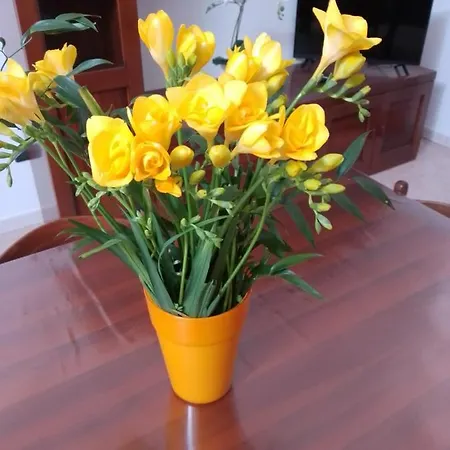 Montepiano * Roccamontepiano