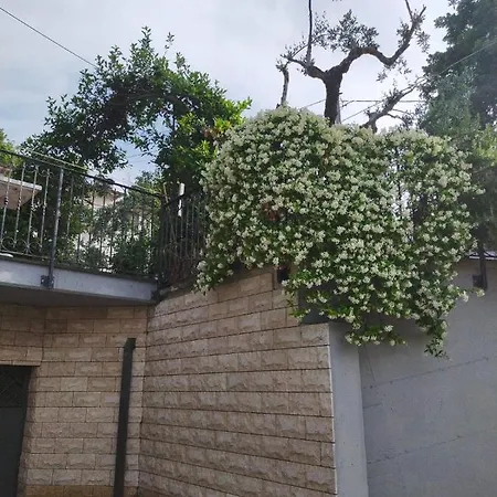 Montepiano Roccamontepiano