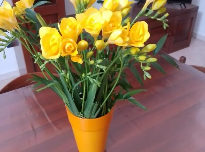 Montepiano * Roccamontepiano