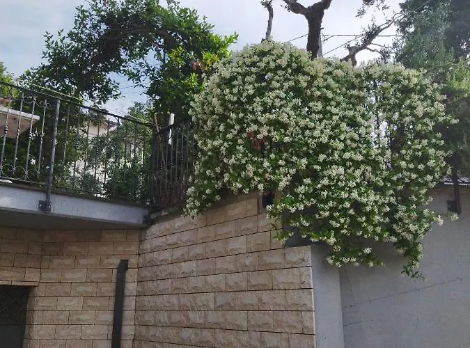 Montepiano Roccamontepiano